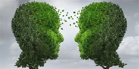 midas touch towers|A Greener World – Midas Touch Towers.
